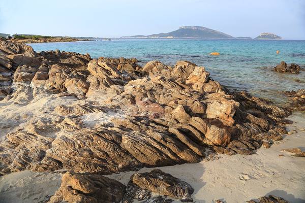 Spiagge