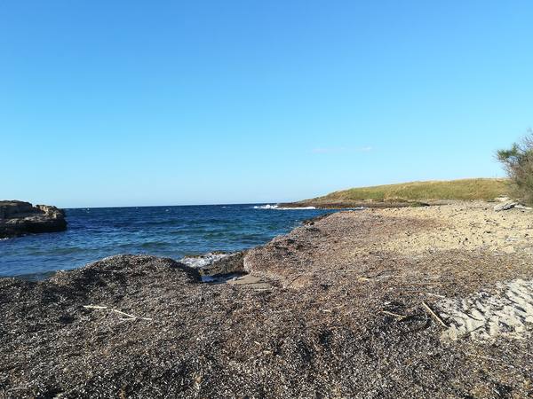Spiaggia del Faro