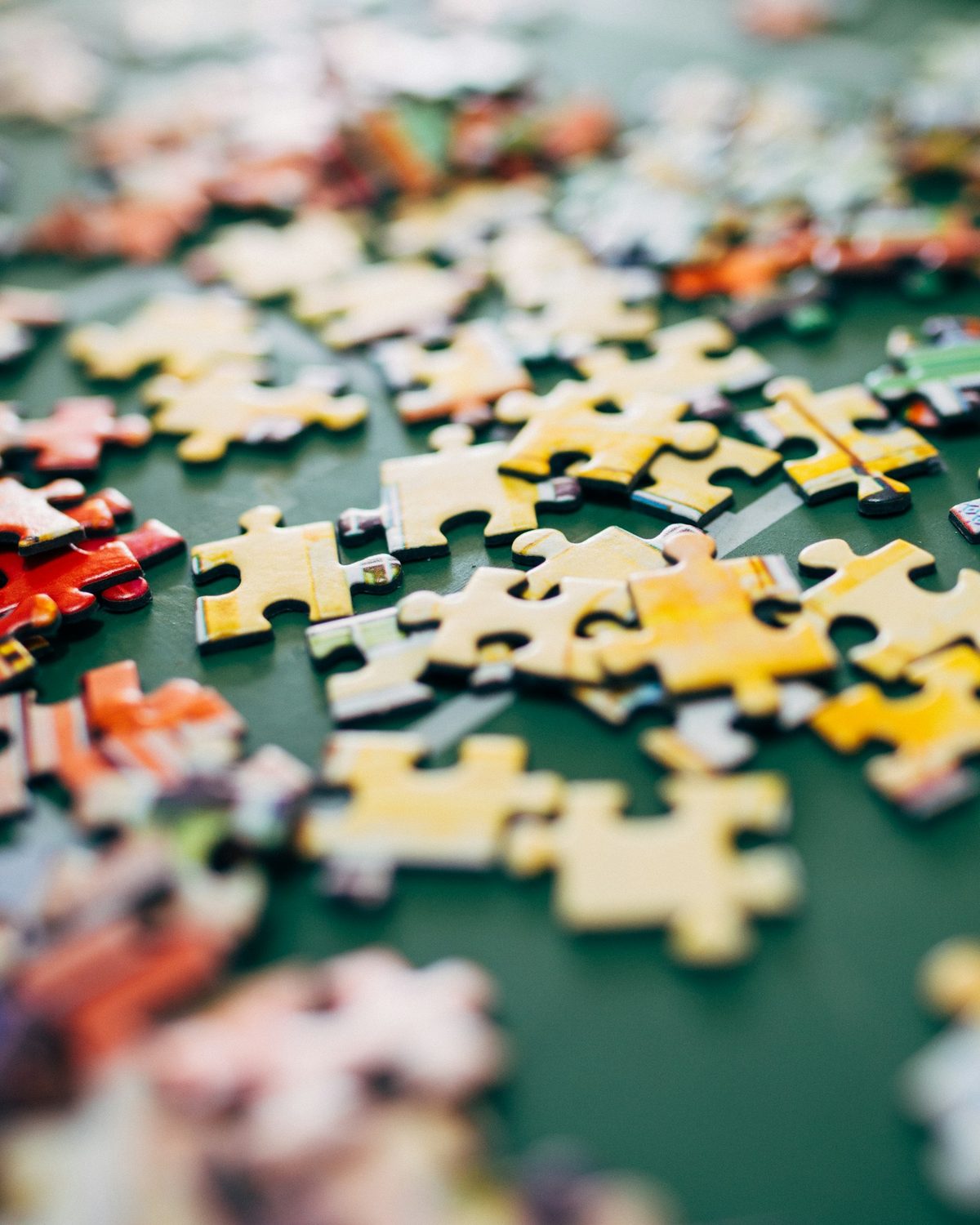Puzzle con foto